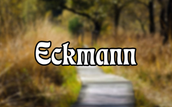 Eckmann: The Elegant Serif That Brings Ideas to Life