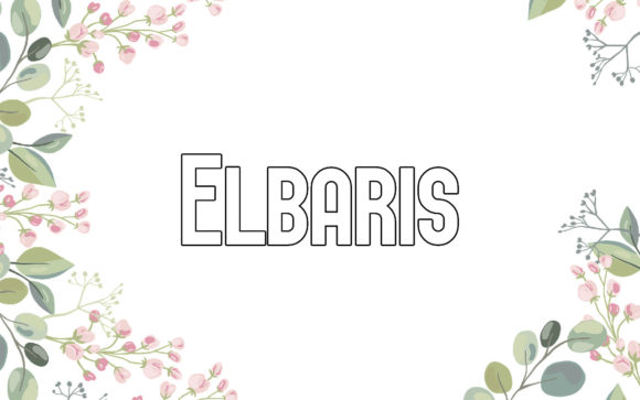 Elbaris: A Minimalist Sans Serif for Modern Creators
