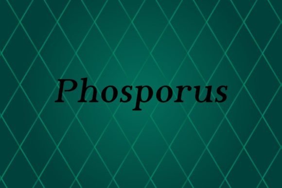 Phosporus: The Sans Serif Collection for Every Creative Vision