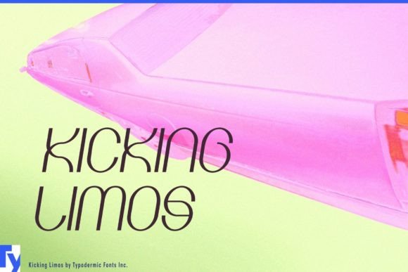 Why Kicking Limos Might Be the Elegant Touch Your Brand Needs